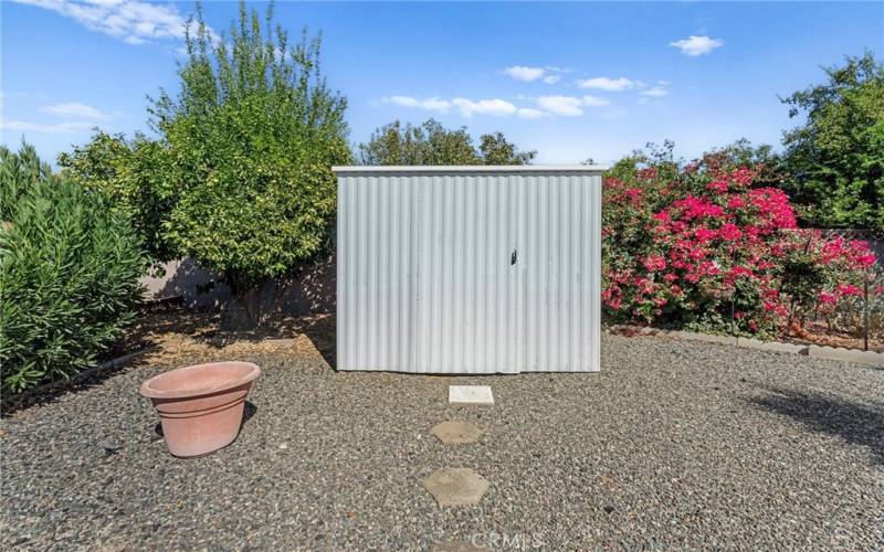 Storage in Backyard