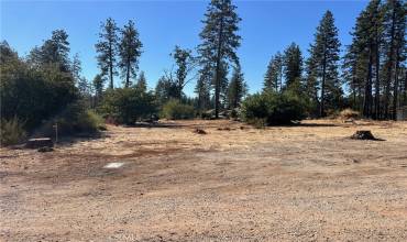 1800 Heynen Road, Paradise, California 95969, ,Land,Buy,1800 Heynen Road,SN24208844