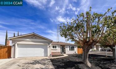 1432 Springhill Dr, Pittsburg, California 94565, 4 Bedrooms Bedrooms, ,2 BathroomsBathrooms,Residential,Buy,1432 Springhill Dr,41076141