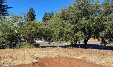 1710 Arany Court, Paradise, California 95969, ,Land,Buy,1710 Arany Court,PA24211488