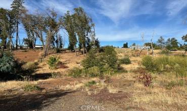 5709 Middle Libby Road, Paradise, California 95969, ,Land,Buy,5709 Middle Libby Road,SN24206615