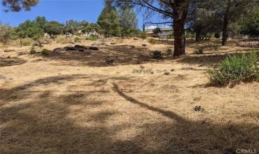 9720 Sequoia Road, Kelseyville, California 95451, ,Land,Buy,9720 Sequoia Road,LC23161083