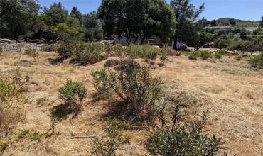 9709 Tenaya Way, Kelseyville, California 95451, ,Land,Buy,9709 Tenaya Way,LC23161667