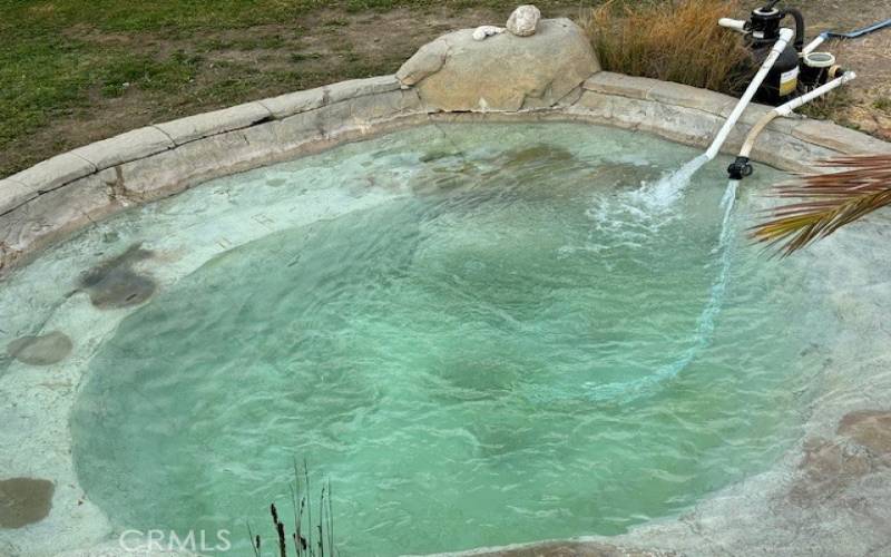 Water feature in back yard