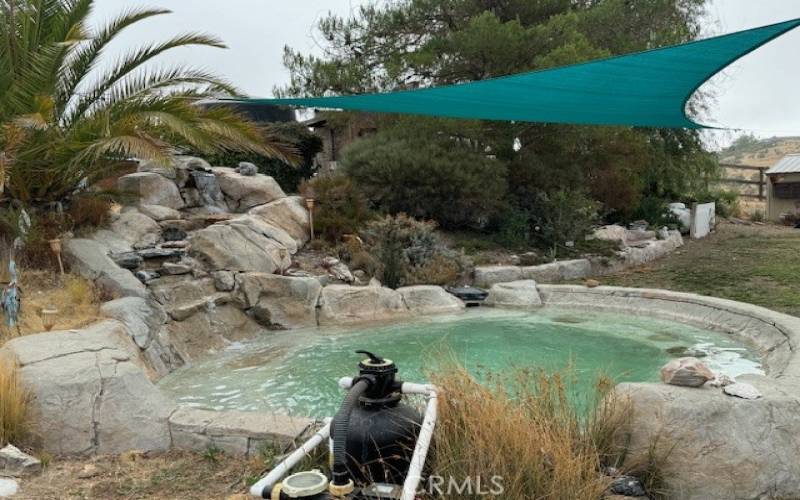 Water feature in back yard