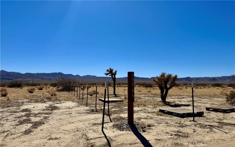 65565 2 Mile Road Joshua Tree is our reference point.  Walk 331 feet back and you will see the Marker on the North side of the Property.