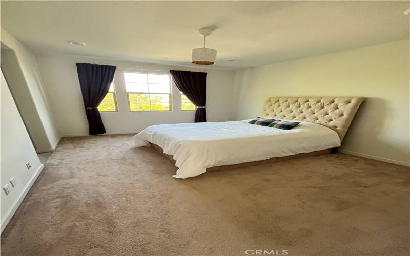 Master bedroom has mountain views and lots of green views also.