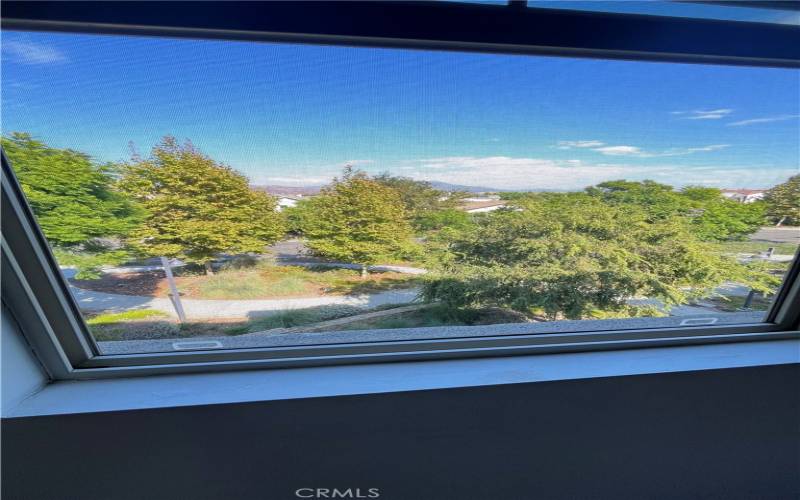 View from one of the master bedroom windows. The tress will bloom with purple flowers in the spring. If you look closely, there are still flowers in some of the trees.