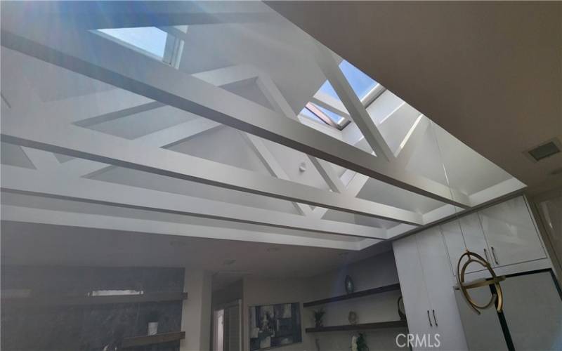 DOUBLE SKYLIGHT WITH SHADES AND REMOTE CONTROLLED OPEN/CLOSE