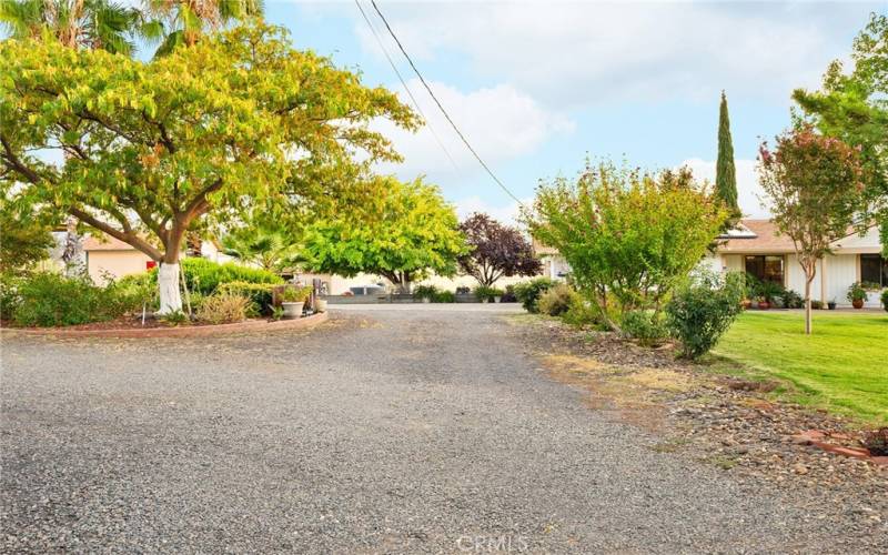 Front driveway.