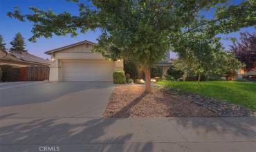 9763 Savoy Way, Live Oak, California 95953, 5 Bedrooms Bedrooms, ,3 BathroomsBathrooms,Residential,Buy,9763 Savoy Way,SN24205249