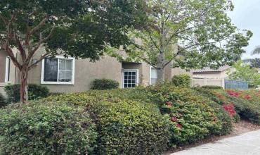 1661 Harrier Court, Carlsbad, California 92011, 3 Bedrooms Bedrooms, ,2 BathroomsBathrooms,Residential Lease,Rent,1661 Harrier Court,PTP2406253