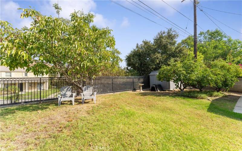 Fruit trees, shed and fence overlooking back neighbors that are lower than this home.