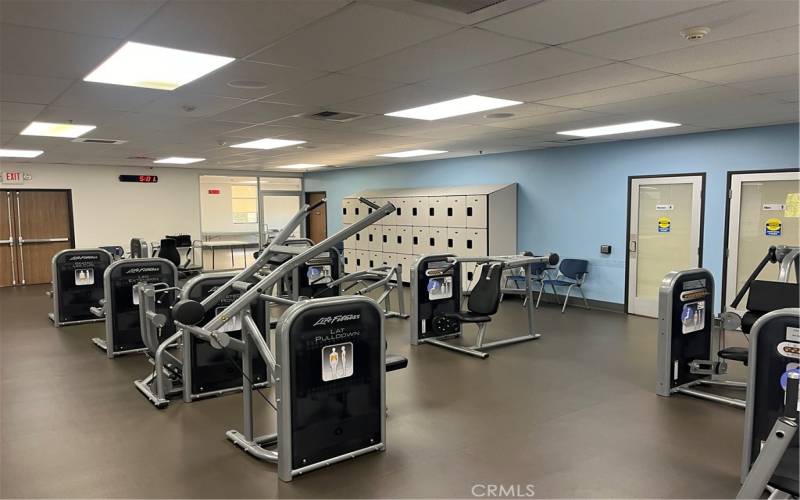 New gym, with equipment for all body types.