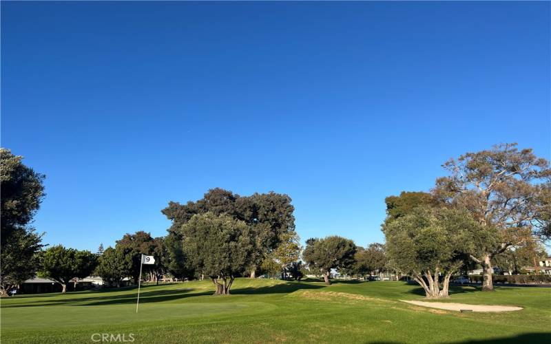 Beautiful golf course, free to all residents.