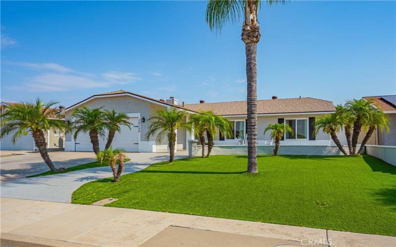 Turf and Palms in front