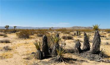 5 Sunset Road, Joshua Tree, California 92252, ,Land,Buy,5 Sunset Road,JT24212438