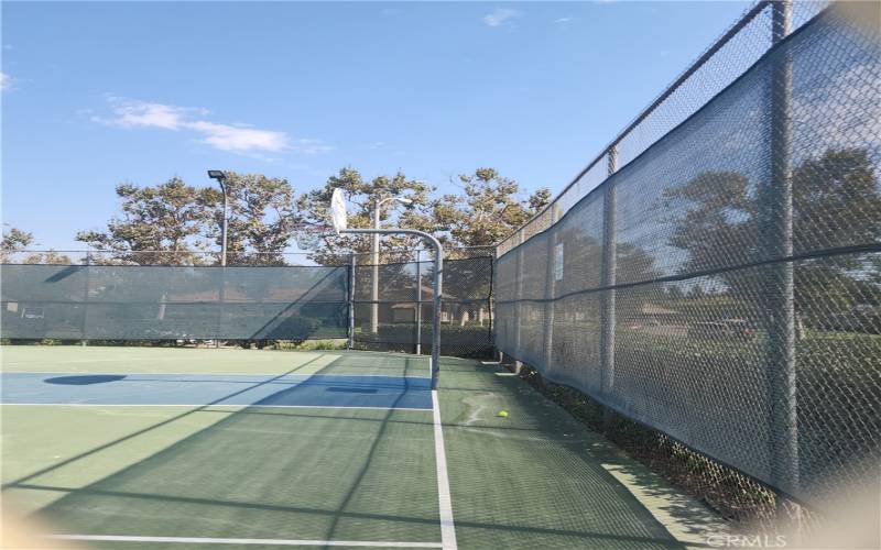 Basketball Court