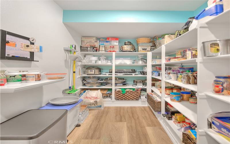 Preview 12 of 31 - This Pantry is HUGE! Take a peek at this SPACE.