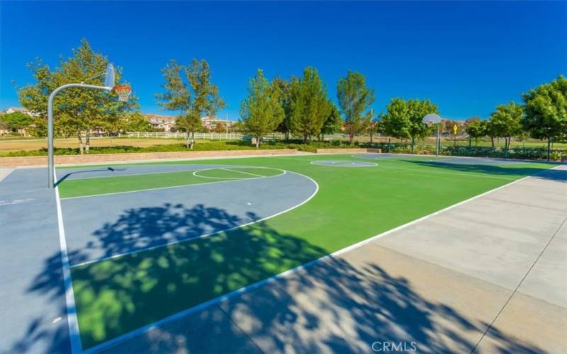 basketball court