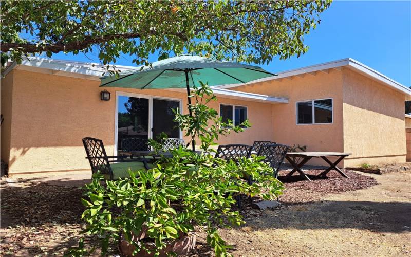 51. back yard dining area with lime tree