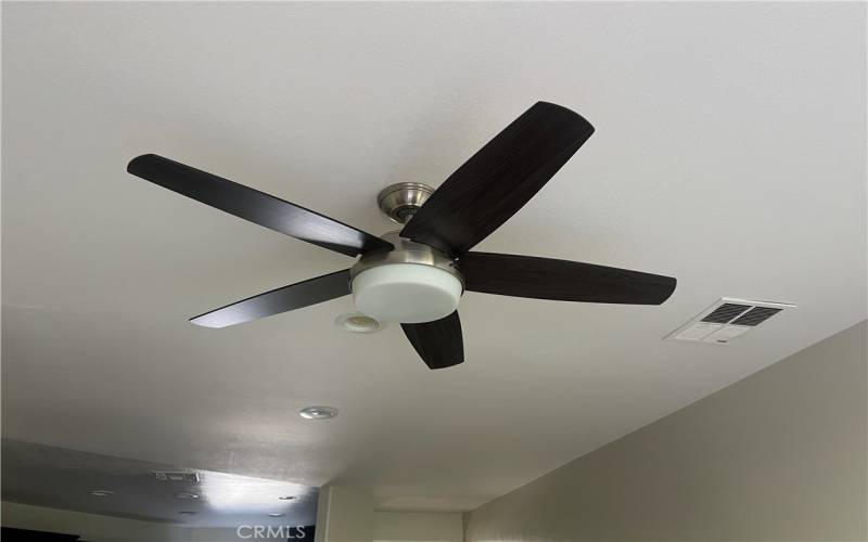 Brand New ceiling fans