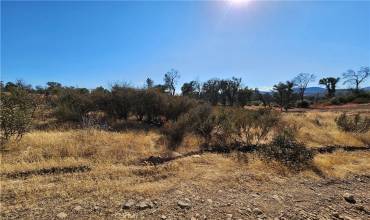 16533 3rd Avenue, Clearlake, California 95422, ,Land,Buy,16533 3rd Avenue,LC24209399