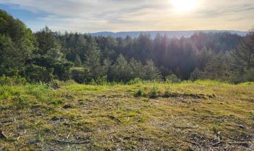 18060 Moonrise Road, Boulder Creek, California 95006, ,Land,Buy,18060 Moonrise Road,ML81983582