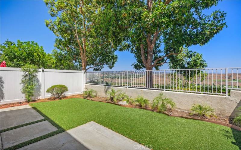 View Backyard with Turf