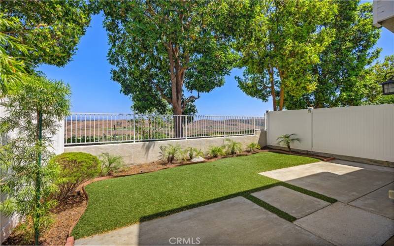 Pano Views from Low-maintenance Yard