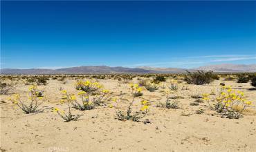 0 Near Shelton Road, 29 Palms, California 92277, ,Land,Buy,0 Near Shelton Road,JT24201062