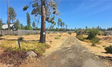 6270 Graham Road, Paradise, California 95969, ,Land,Buy,6270 Graham Road,SN24209756