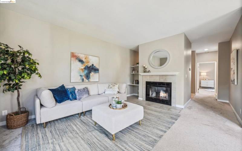 Well-lit Elegant Living Room