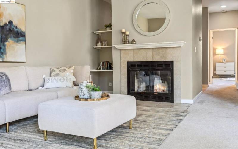 Well-lit Elegant Living Room