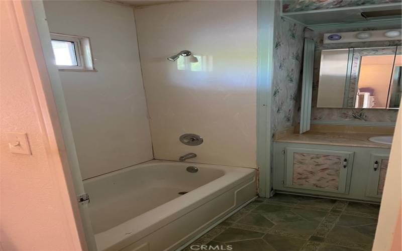 Master Bath with Shower over Tub and lighted vanity