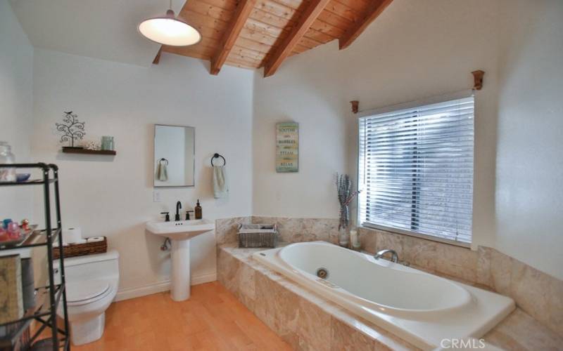 Primary bathroom with double sinks, stand in shower and bath tub