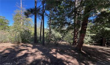 27528 North Bay Road, Lake Arrowhead, California 92352, ,Land,Buy,27528 North Bay Road,RW24211220