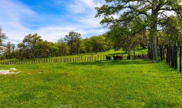 237 Acres White Rock Road, Mariposa, California 95338, ,Land,Buy,237 Acres White Rock Road,MP24205466