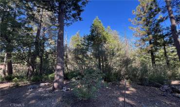 27530 North Bay Road, Lake Arrowhead, California 92352, ,Land,Buy,27530 North Bay Road,RW24211228