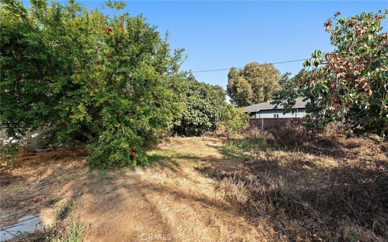 Spacious backyard w/ matured trees