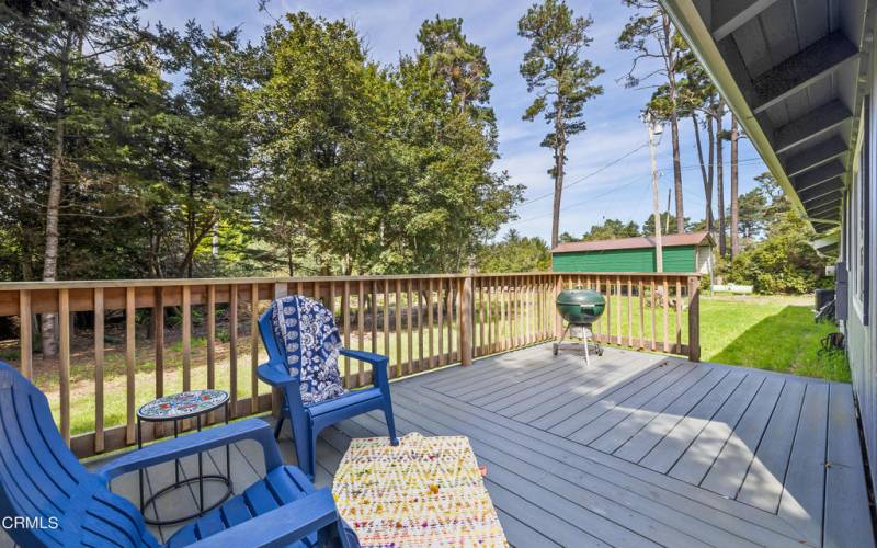 Backyard Deck