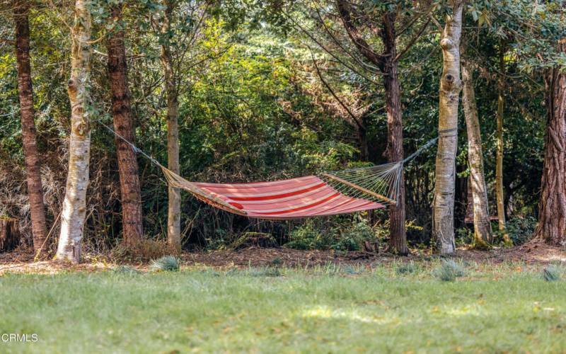 Hammock