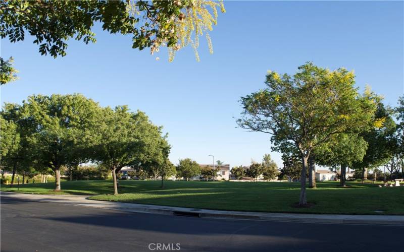 Picnic area