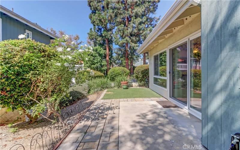 Sunny patio and yard