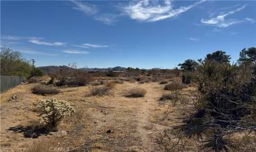 7217 Sunny Vista Road, Joshua Tree, California 92252, ,Land,Buy,7217 Sunny Vista Road,JT24214179