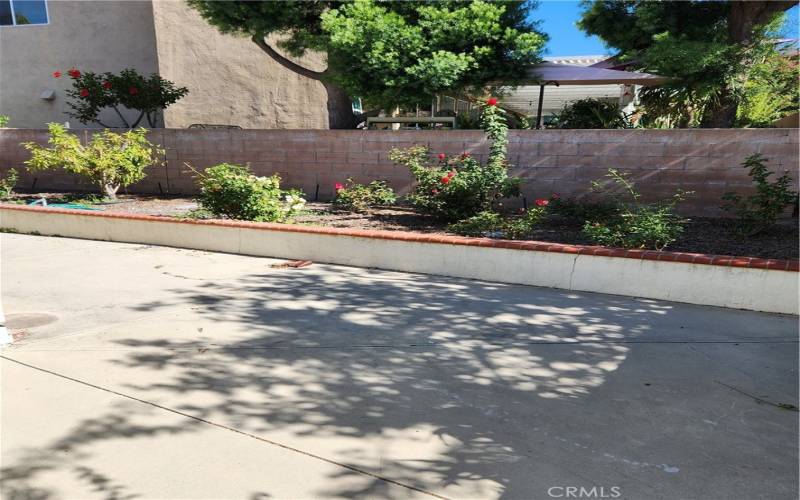 Side yard has several blooming Rose Bushes and room for a BBQ!