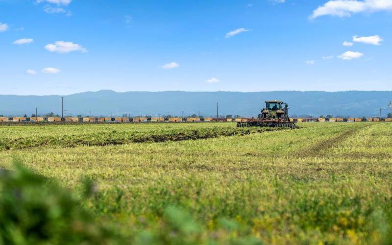 View of adjacent organic farmland