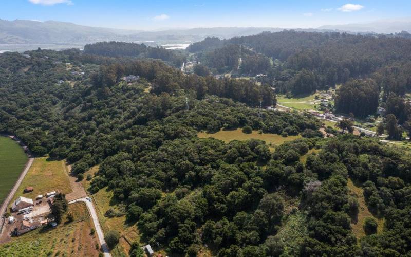 Aerial view of ridge with large meadow, sloping down to Vega  Rd. 10 acre parcel, left of ridge.