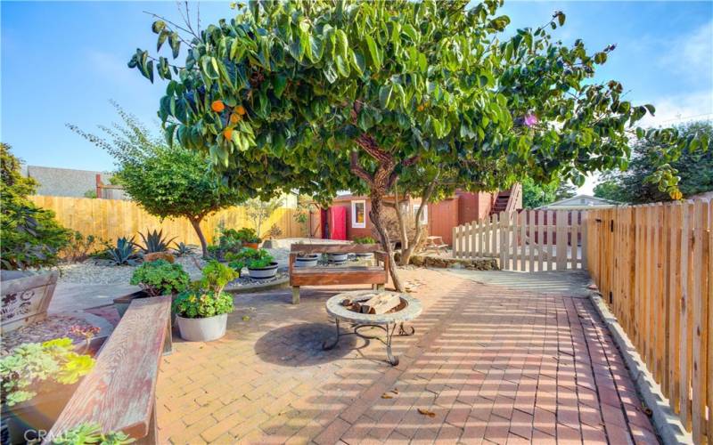 Mature fruit trees and brick paving in backyard.