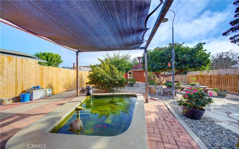 Tarp-canopy covers the Koi Pond area.